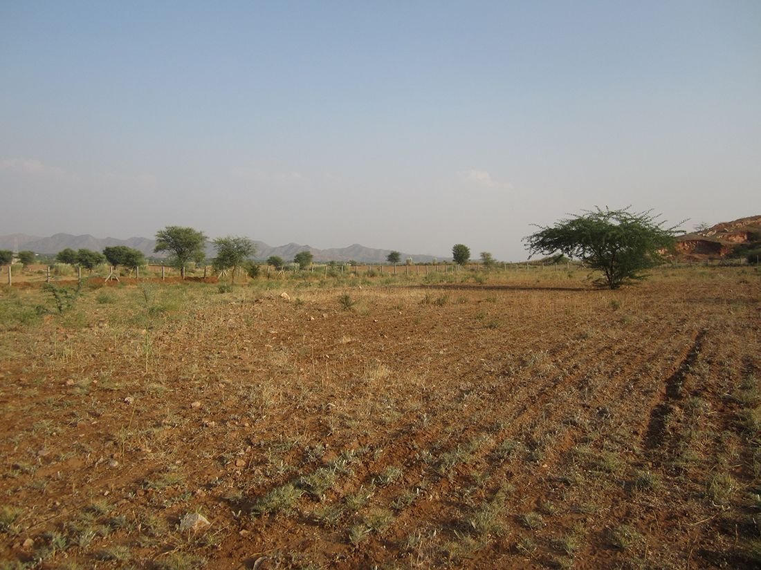 Terreno DIgambara Ashram