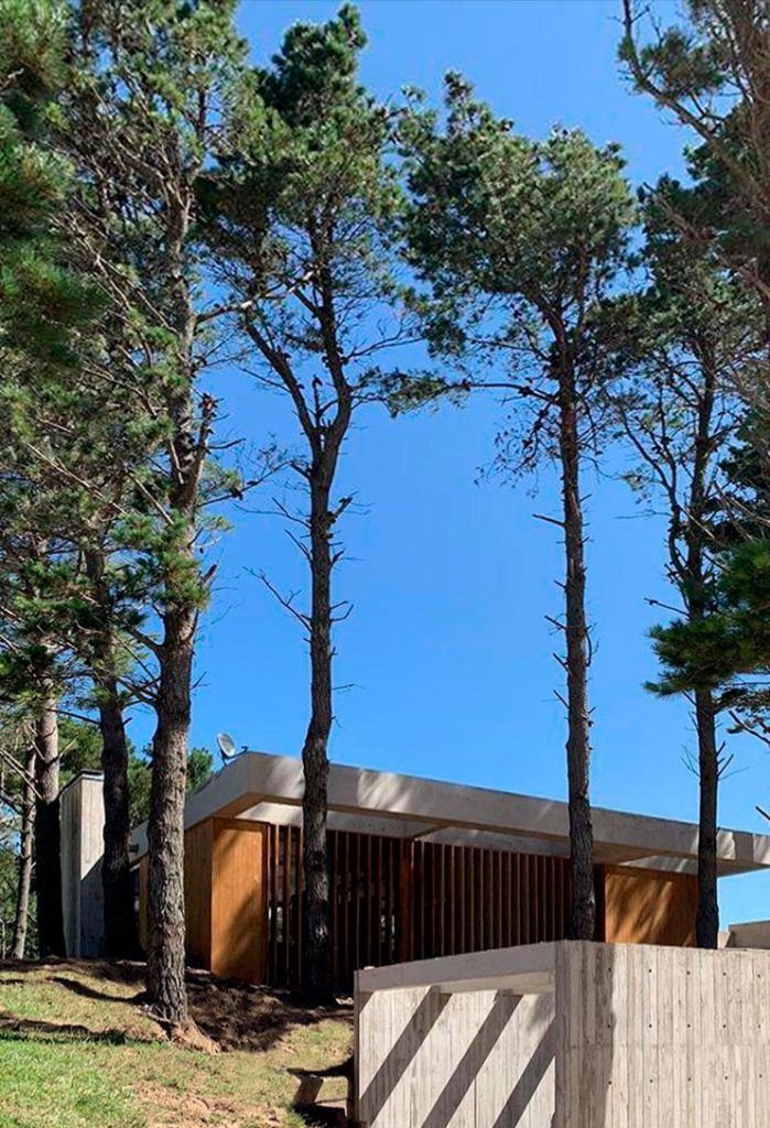 Casa en la naturaleza. Nodopía Arquitectura y Diseño